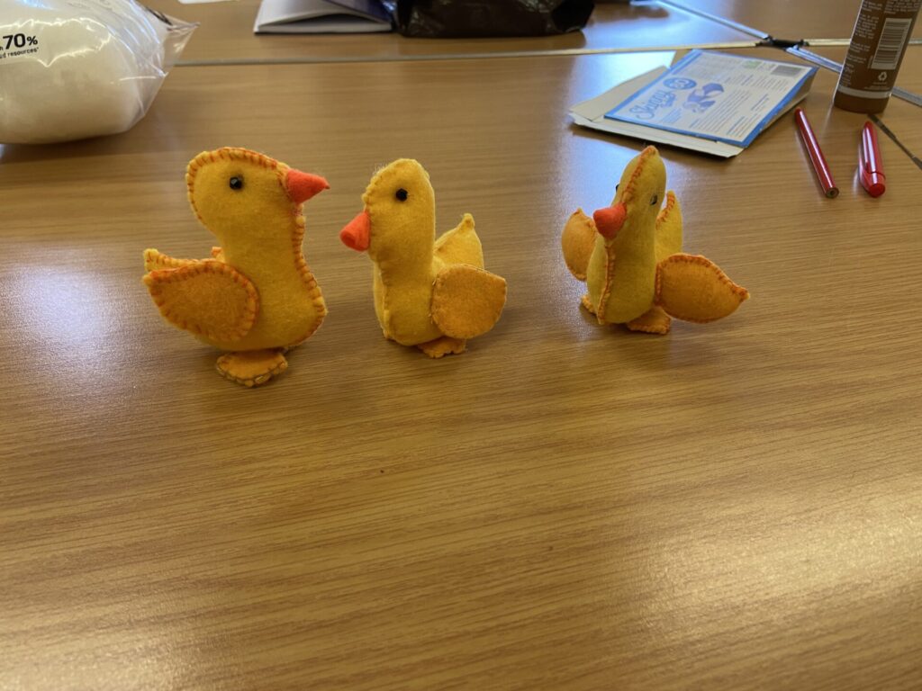 Ducks 1