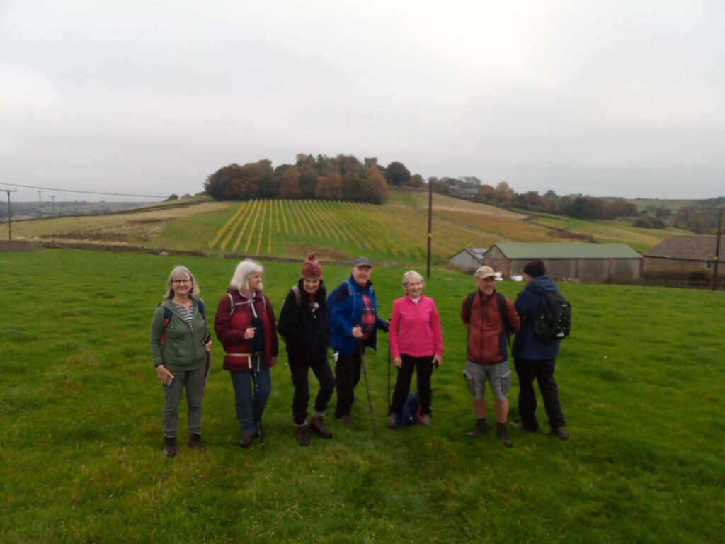 Looking back to Mellor Church and the vineyard